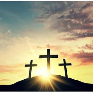 Meet your Posher, Rhonda